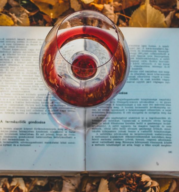 Jedinstveni koncept u Hrvatskoj: Radionice Book & Wine vraćaju se u Čakovec